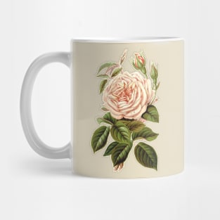 Tea Rose Flower Botanical Illustration Mug